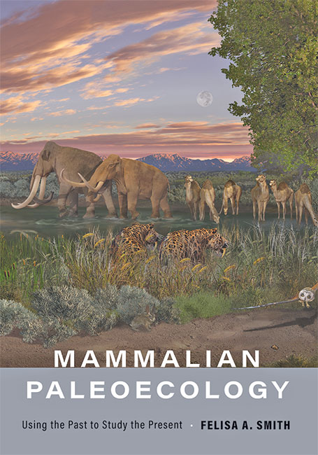 Smith book cover