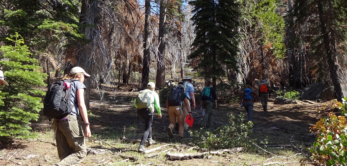 field hike