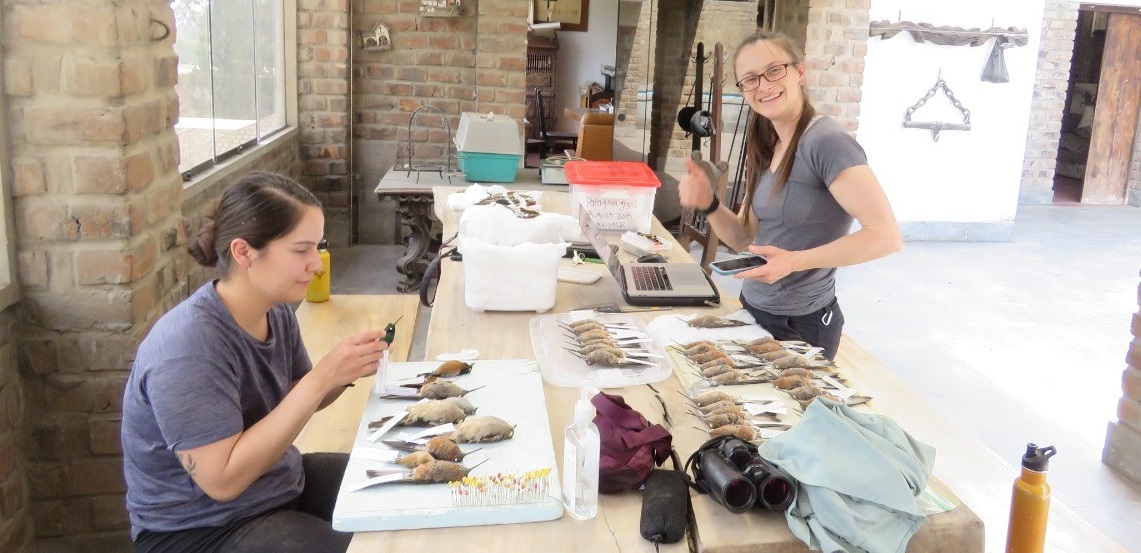 graduate student field work in Peru